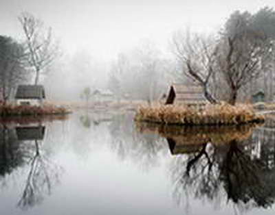 Sağlam olmaq üçün nəyi və necə YEMƏLİYİK? — MÜTƏXƏSSİS AÇIQLADI