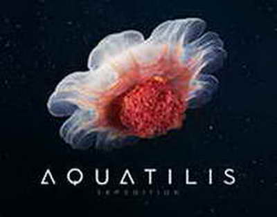 Revolución Verde: ¿Cómo China ha conquistado el mundo?