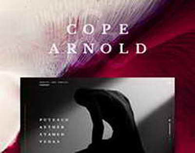 Құндыздар көбейіп, экожүйеге әсер етуде – ШҚО